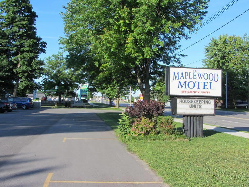 بورت إلغين The Maplewood Motel المظهر الخارجي الصورة